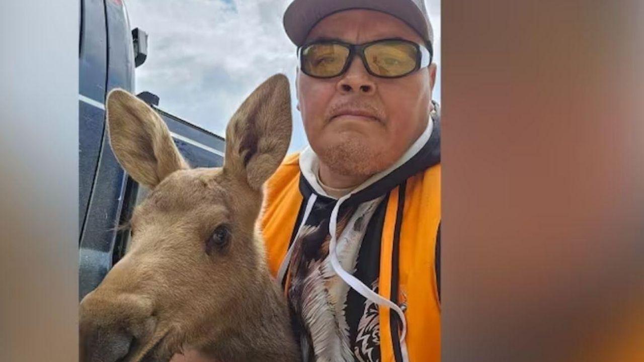 How Wildfires Affect Animals in Canada’s Boreal Forest