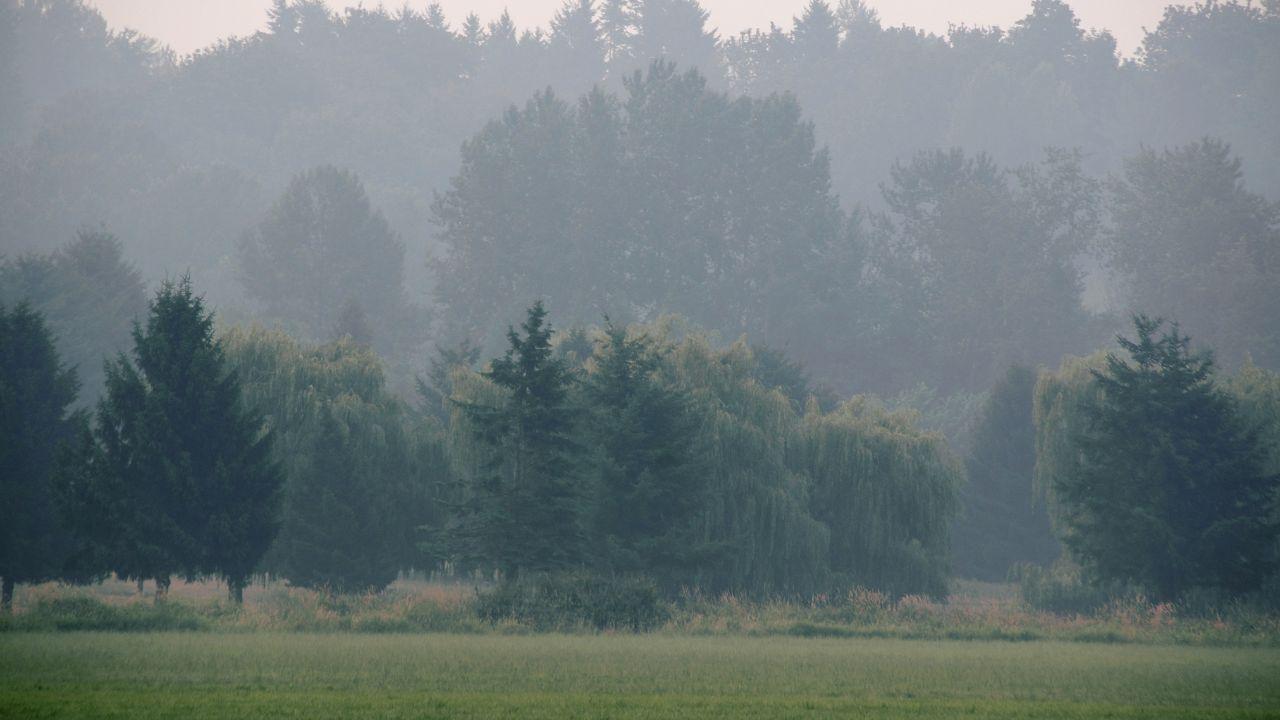 Toronto Struggles to Breathe as Canada’s Wildfires Make Air Very Bad