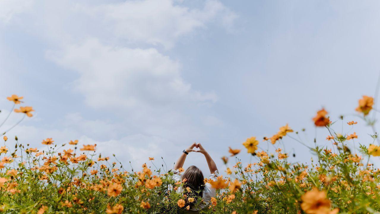 Canadians Plan Local Trips 2025 Spring Travel Trends You Should Know
