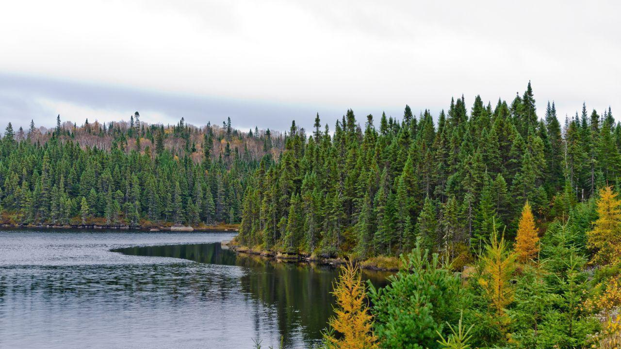 Ontario's Bill 5 Sparks Clash with First Nations and Environmental Groups