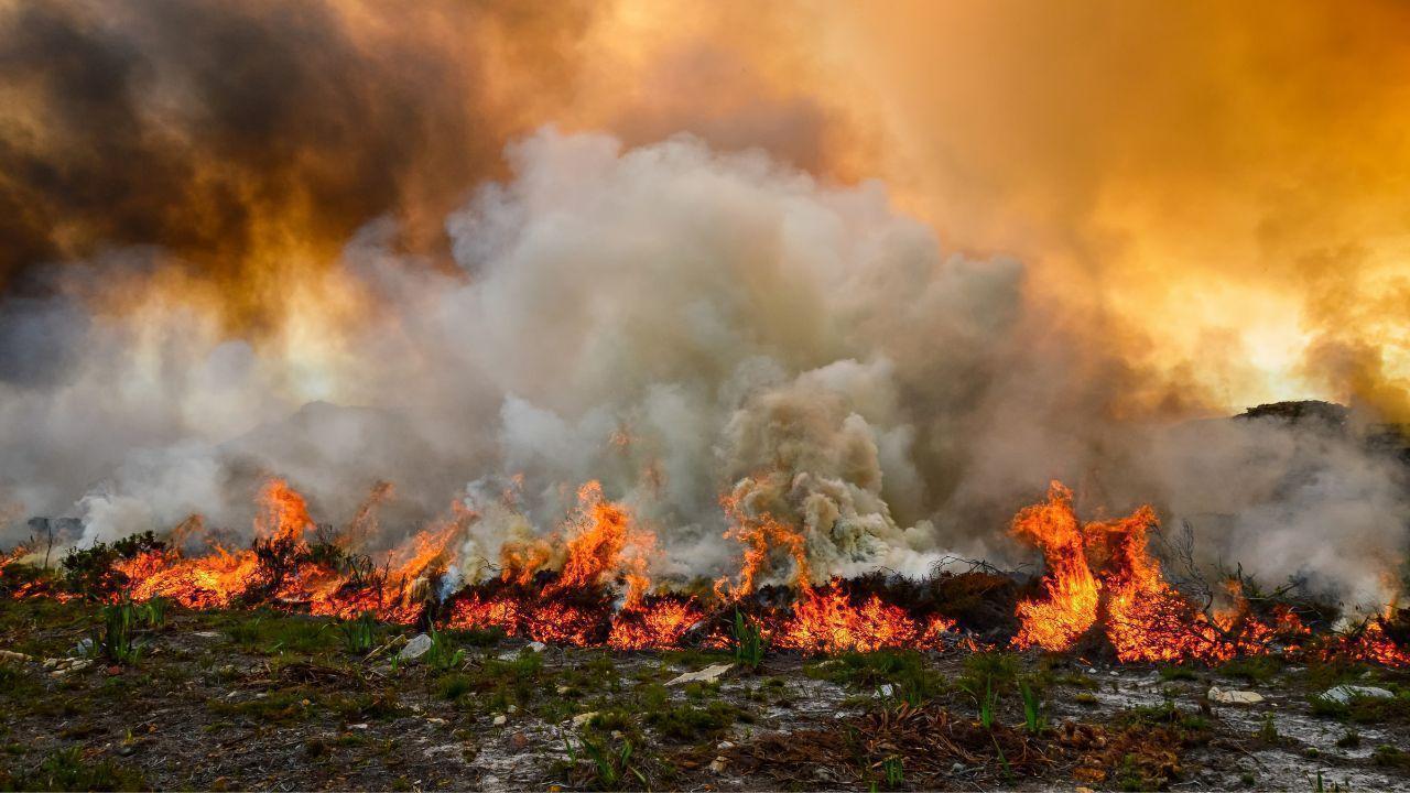 Canada's Wildfire Season Starts Early as Heat and Drought Ignite Over 200 Blazes