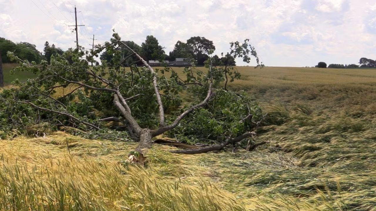Very Clear Path Researchers Study Lucan Tornado