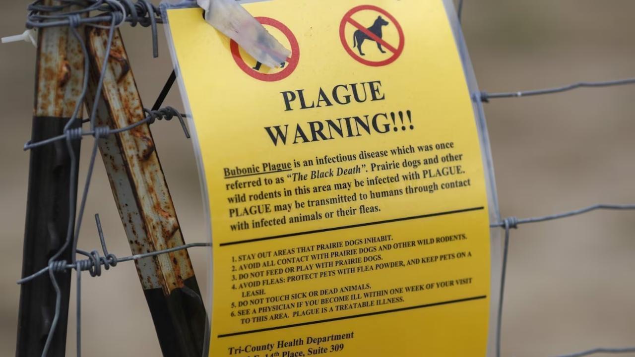 Northern Arizona Resident Dies from Pneumonic Plague