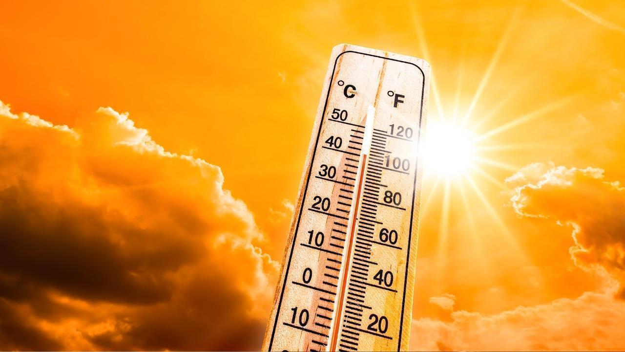 Heat warnings stretch from Ontario to Newfoundland