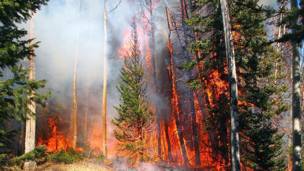 Manitoba’s Heat and Dry Spell Fuel Wildfire Spike