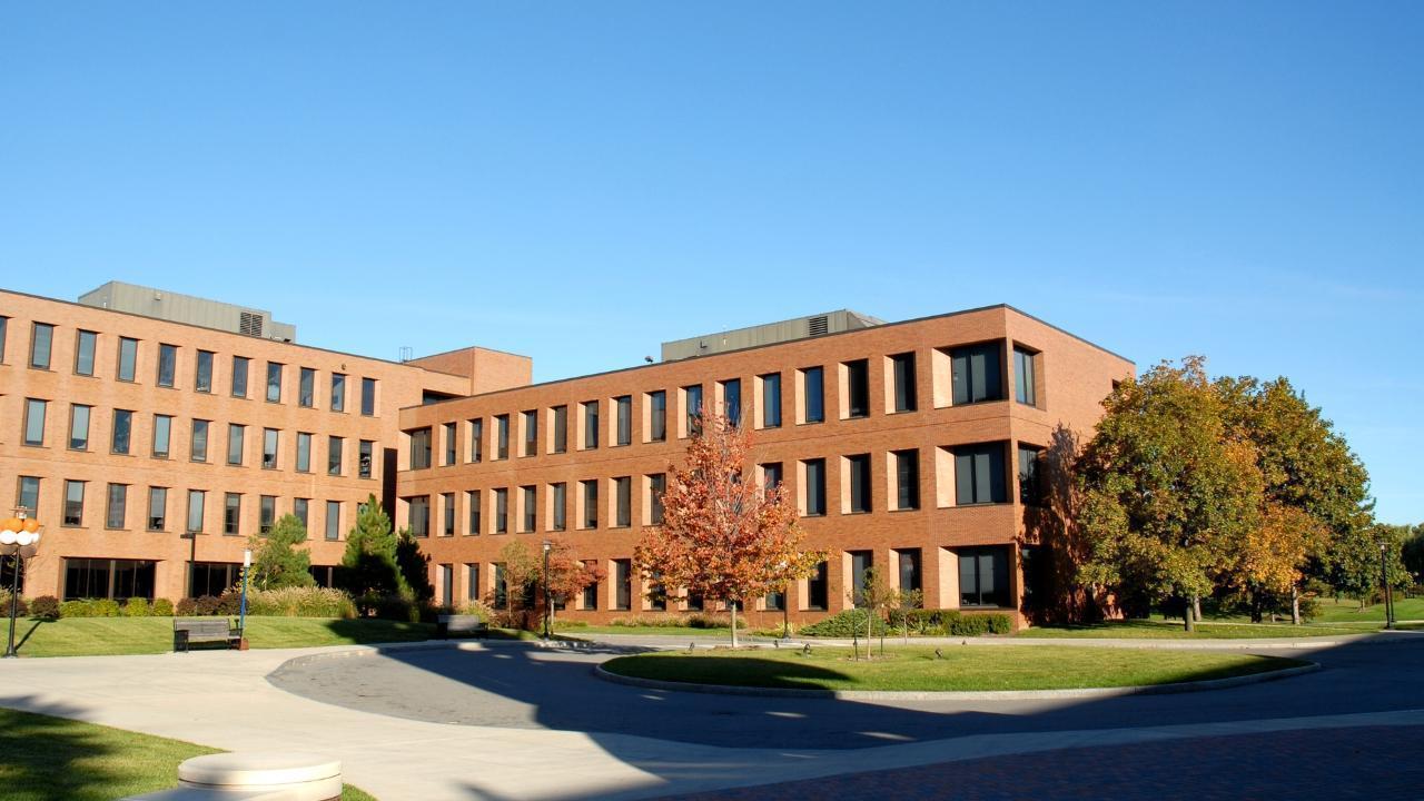 Culture Shifts & Community: UK Student Life Explained