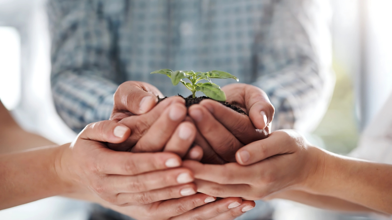 Schools Go Green: Easy Steps for Better Environment