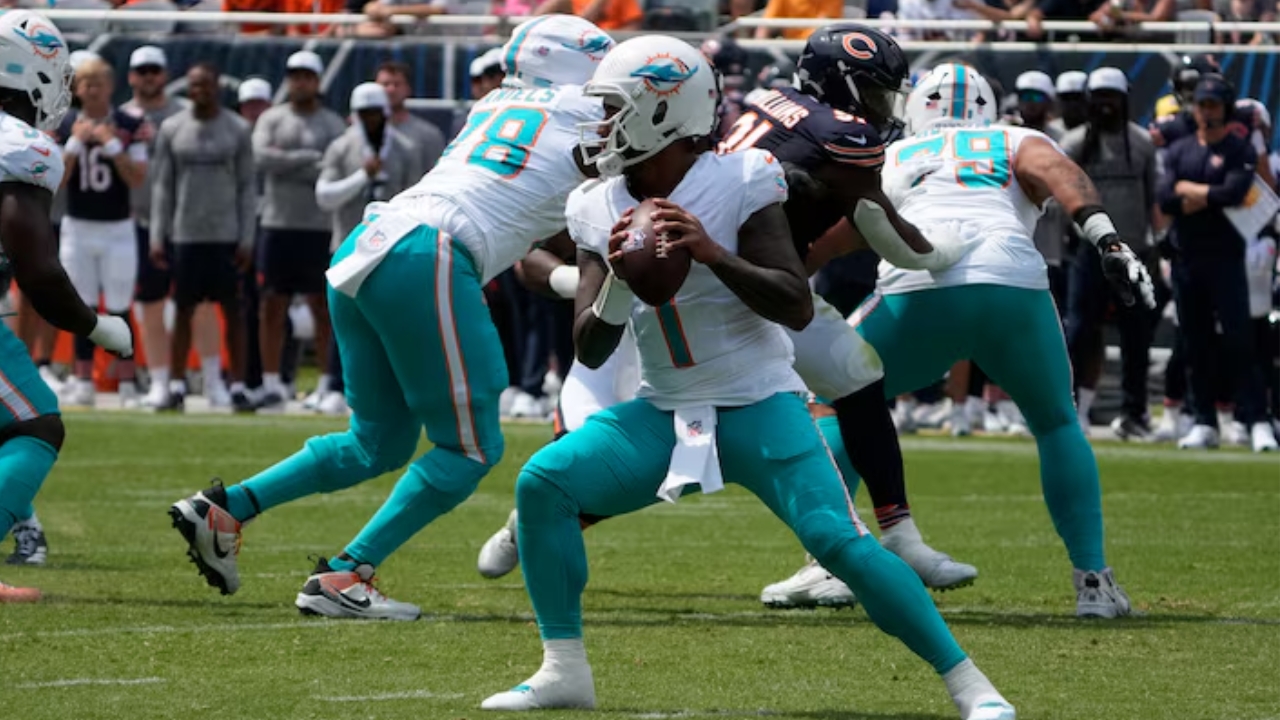 Bears and Dolphins Finish 24–24 in First Preseason Game
