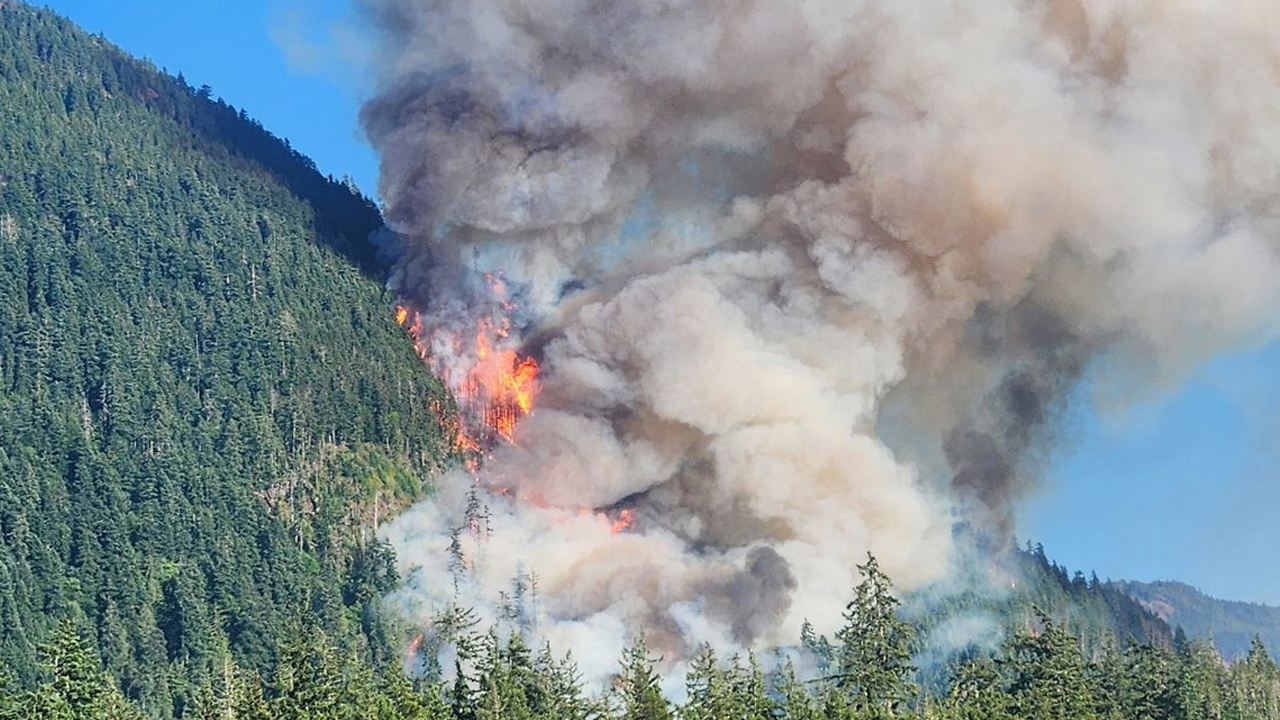 Wildfires in Newfoundland Force Thousands to Evacuate Homes
