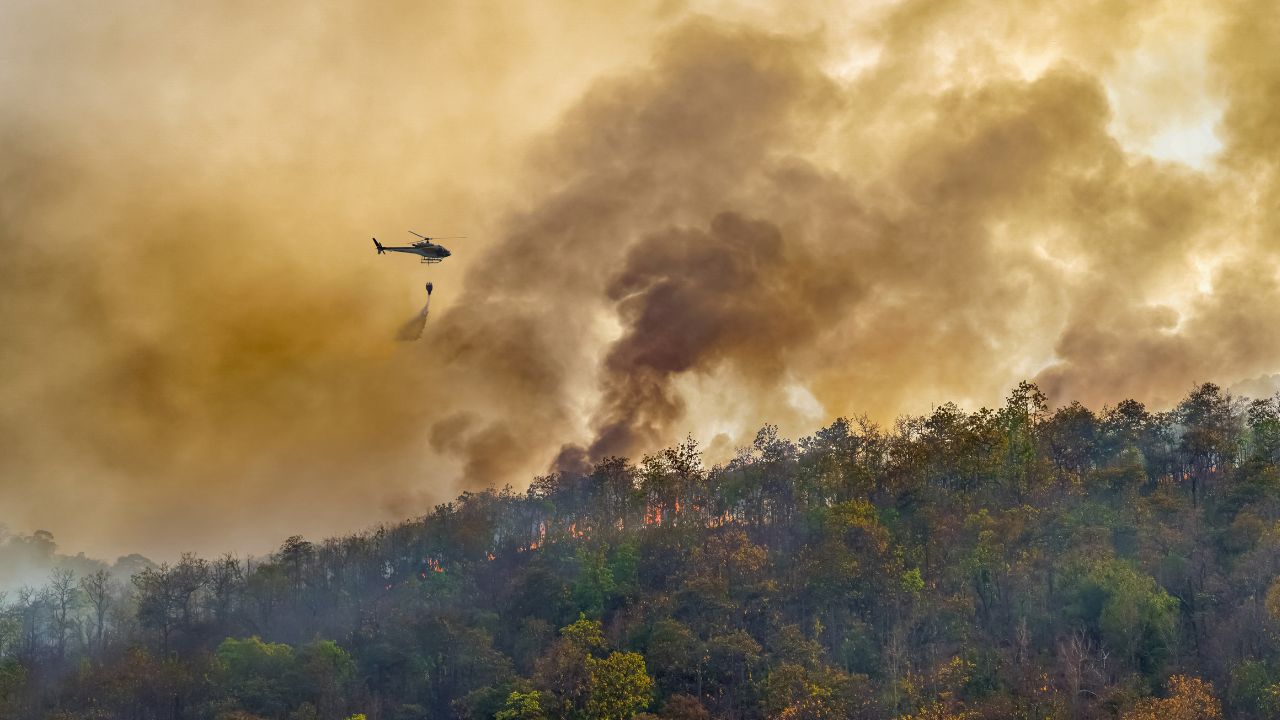 Quebec Battles 12 Wildfires, All Small and Under Control