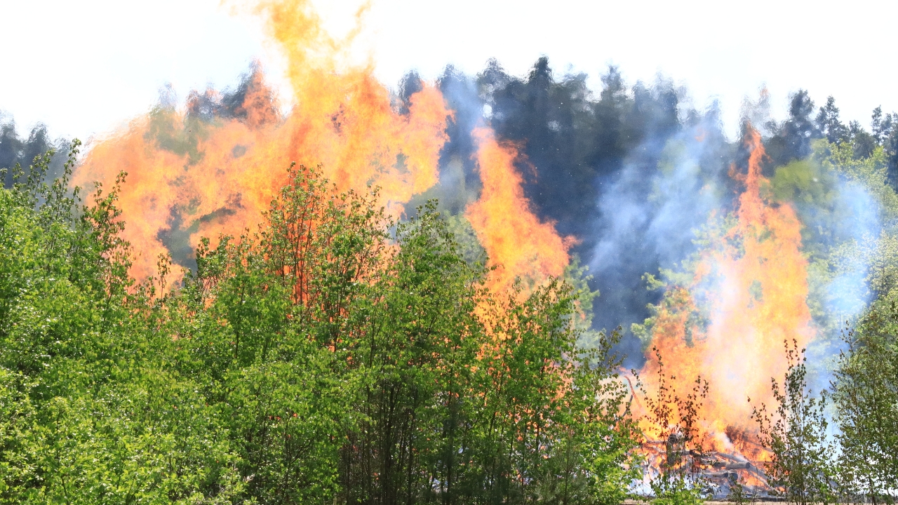 Wildfires Spread Across Southern Europe as Heatwave Continues