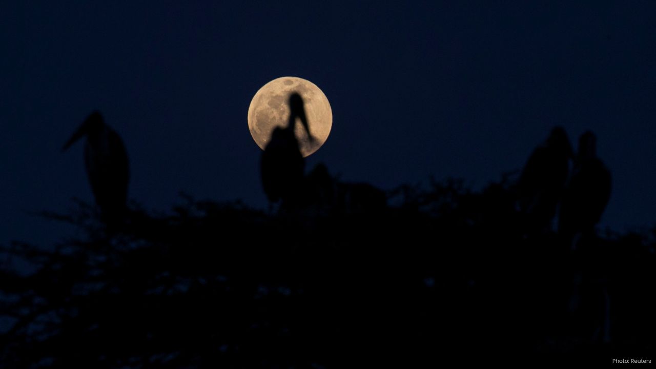 Rare Black Moon to Appear This Weekend See What to Expect