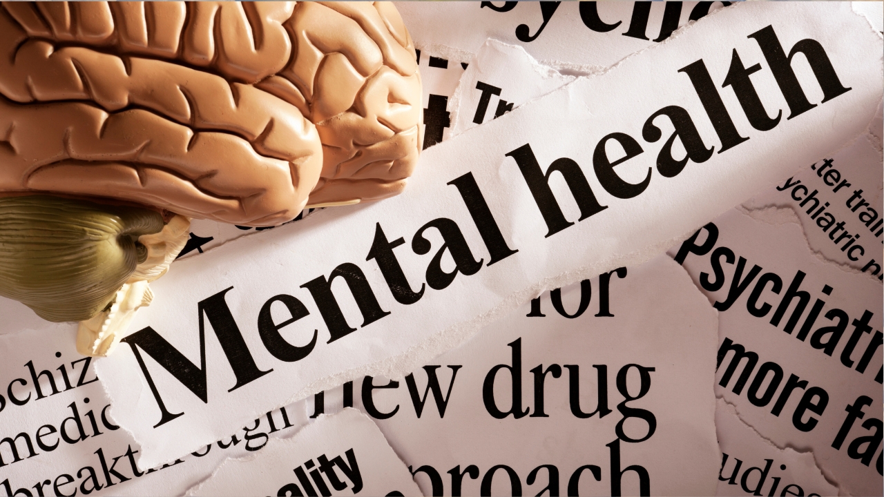 Dalhousie University Launches New Mental Health Program for Students