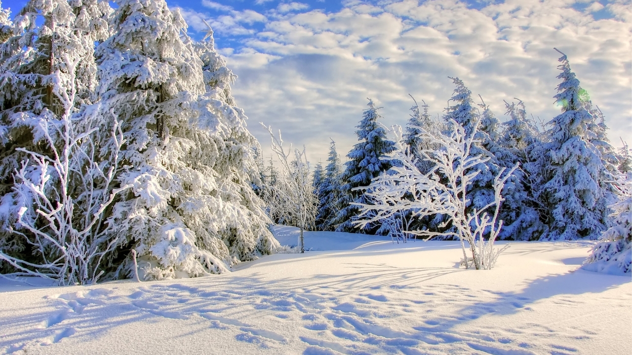 Western Canada Winter May Be Warmer With Less Snow This Year