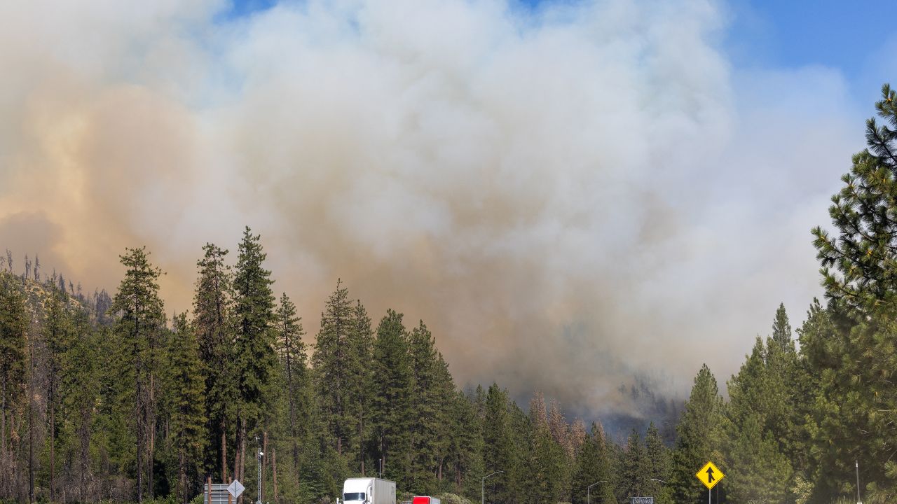 Wildfires Rage as Heat Dry Winds and Lightning Fuel the Crisis