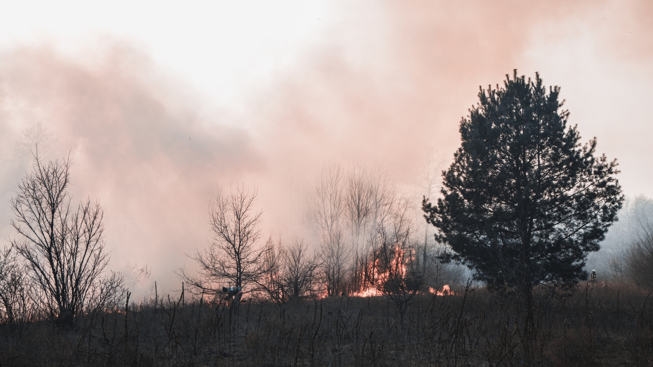Why 2025 Mediterranean Wildfires Became So Dangerous Climate’s Big Role