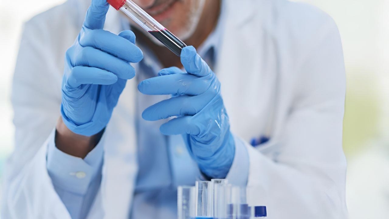 Trail, B.C. Monitors Children’s Blood for Lead Despite Lower Levels