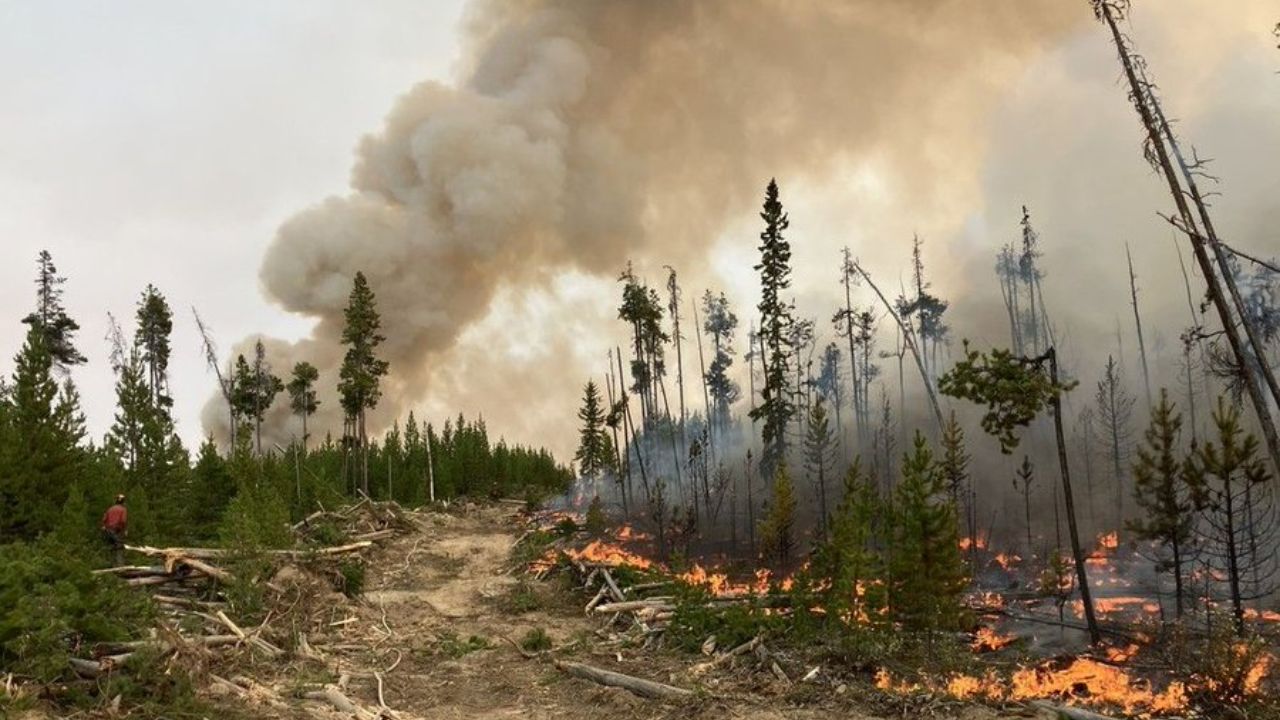 Over 1,000 B.C. Properties Ordered to Evacuate as Wildfires Spread