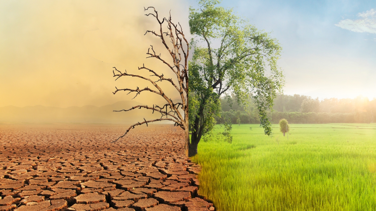 Climate Change May Kill Over Two Million in Europe by 2099