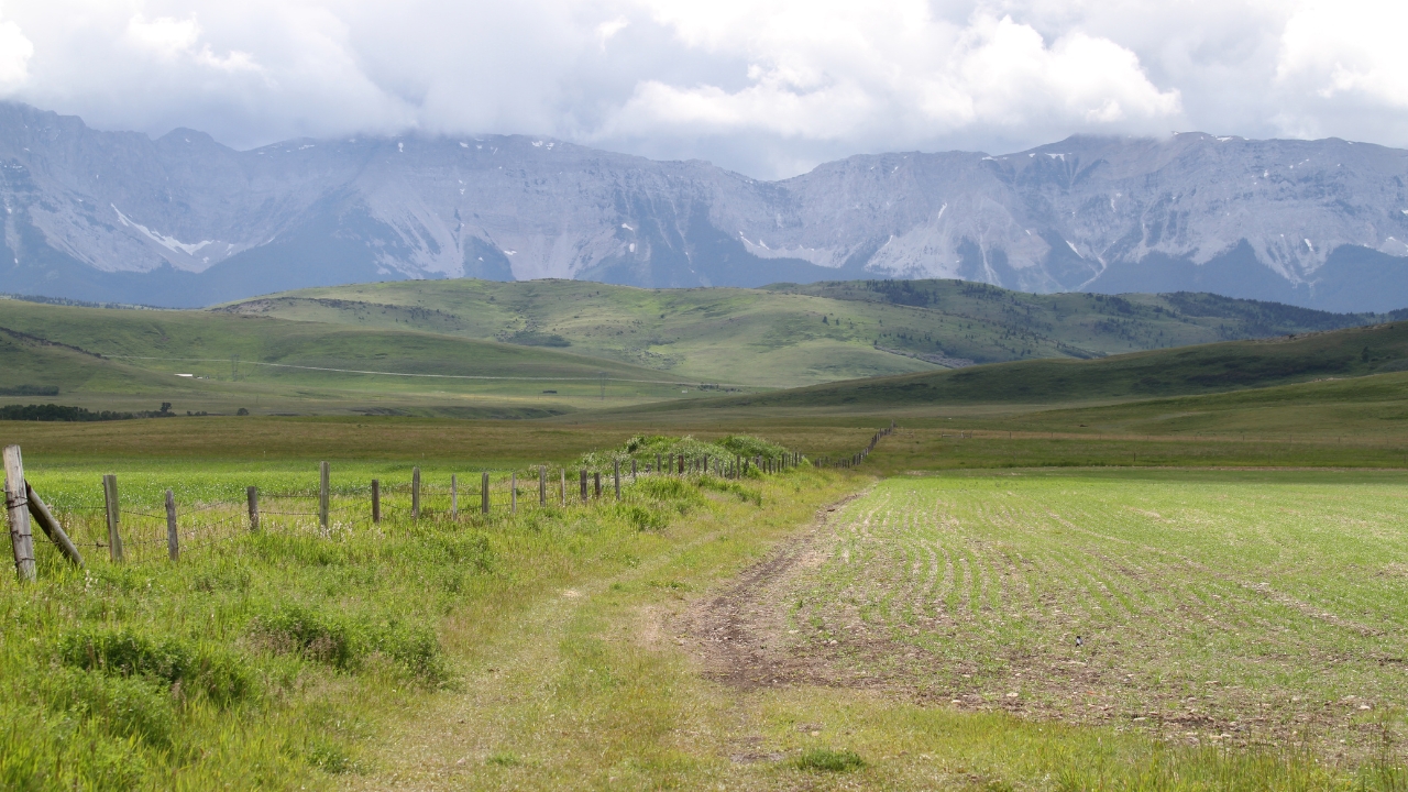 Rocky View County Rejects Big Data Centre Plan on Farm Land