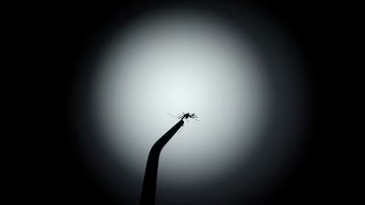 Brazil Launches Mosquito Super Factory to Fight Dengue, Protect 140 Million People
