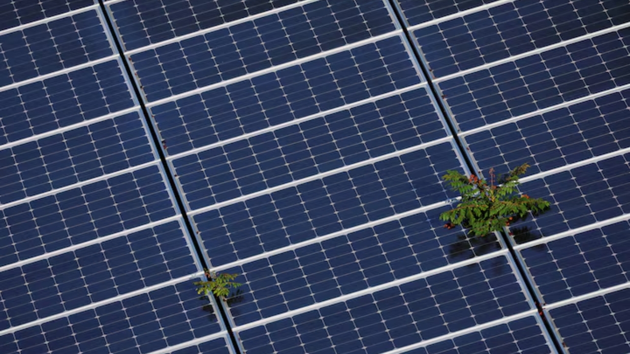 Audit Finds Weaknesses in U.S. Land Reviews for Wind & Solar Projects