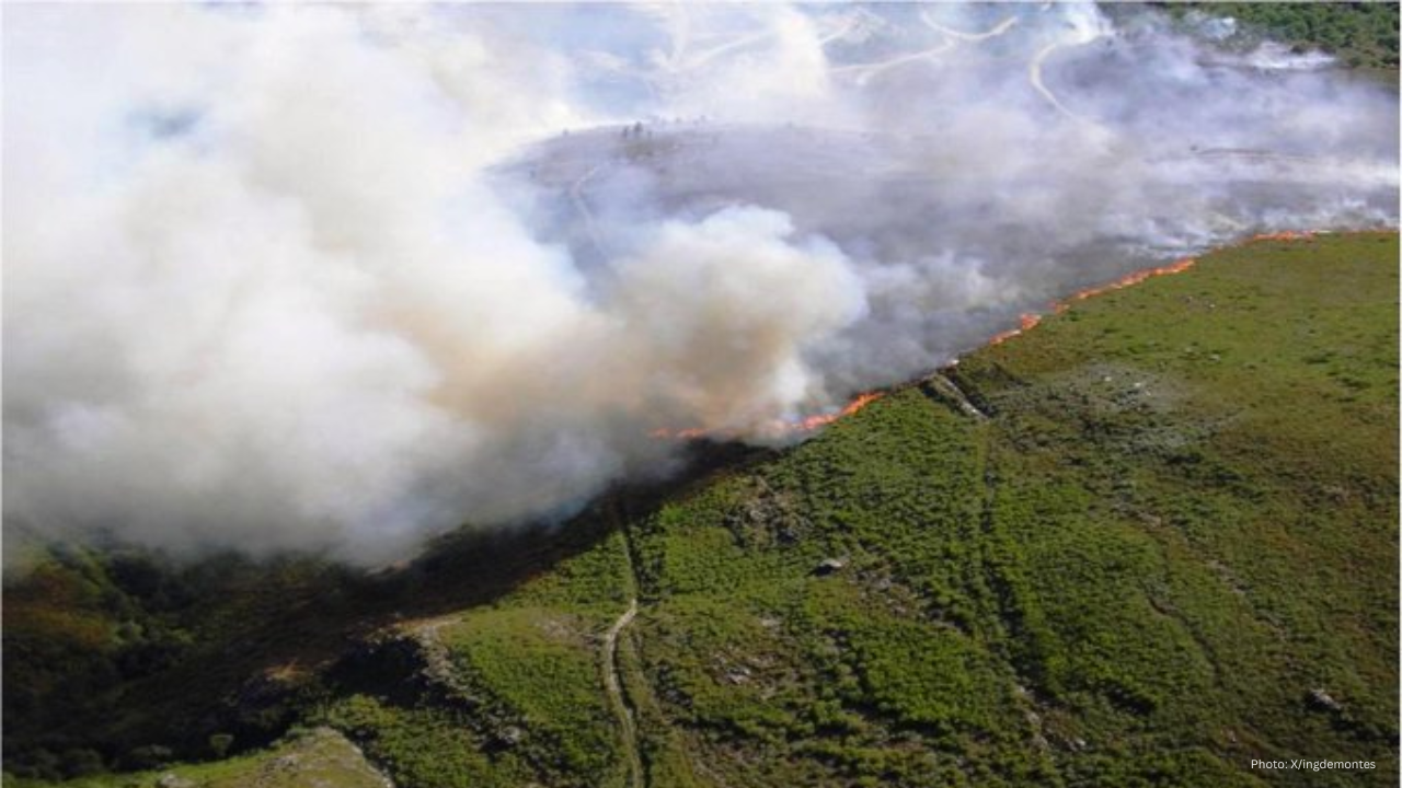 Spain's 2025 Wildfires: A Wake-Up Call for Forest Management Reform