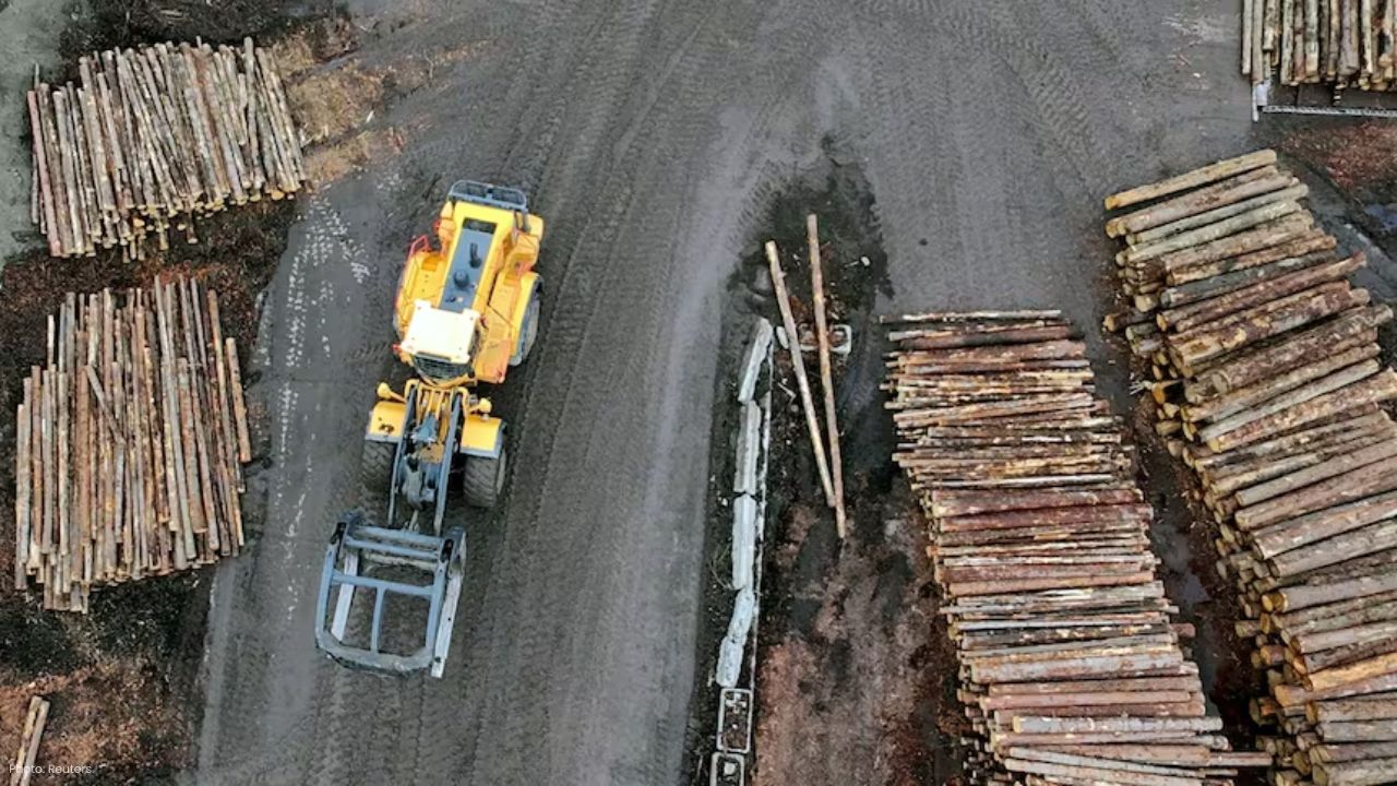 Trump Imposes Steep Tariffs on Lumber Furniture Imports