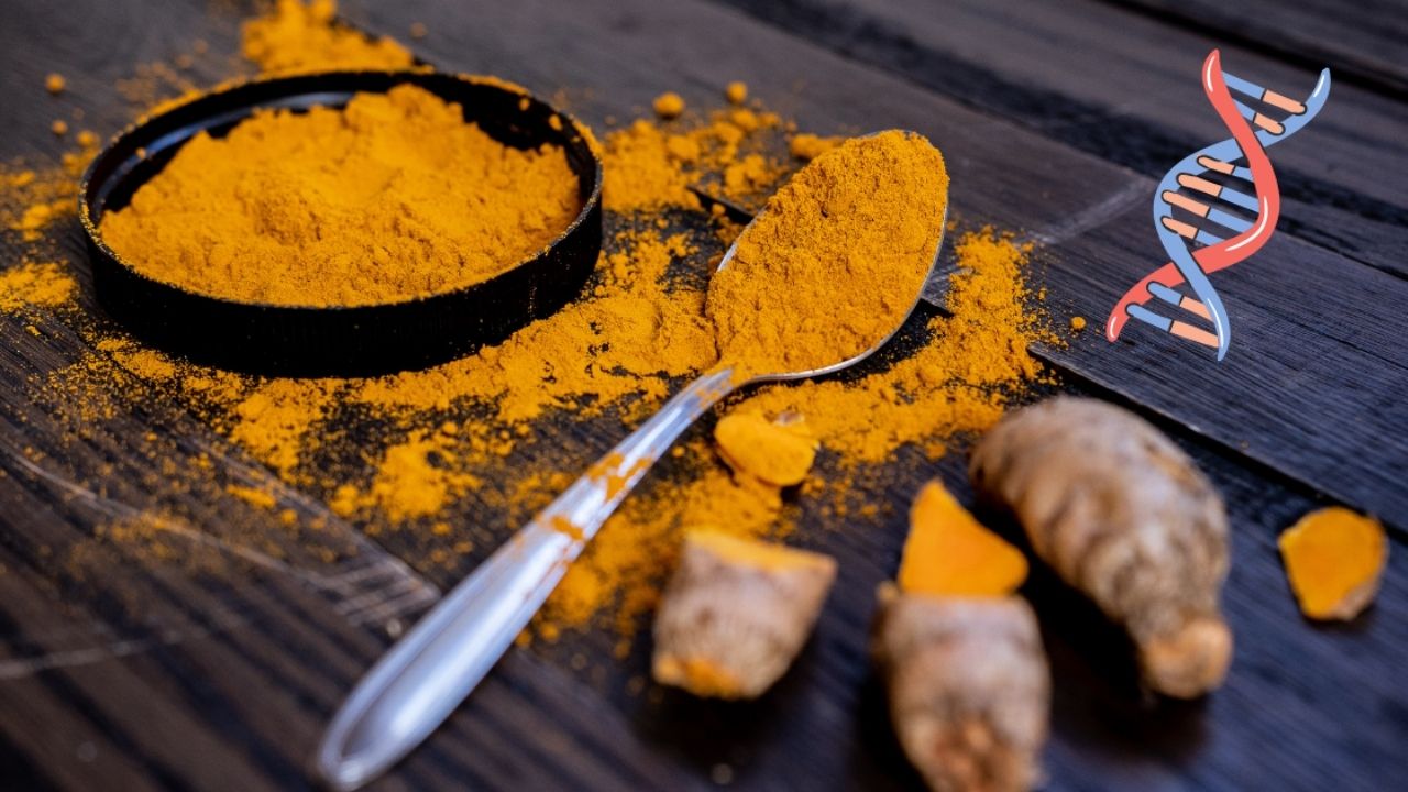 SPARK 4.0: Revolutionizing Ayurveda Through Research and Innovation