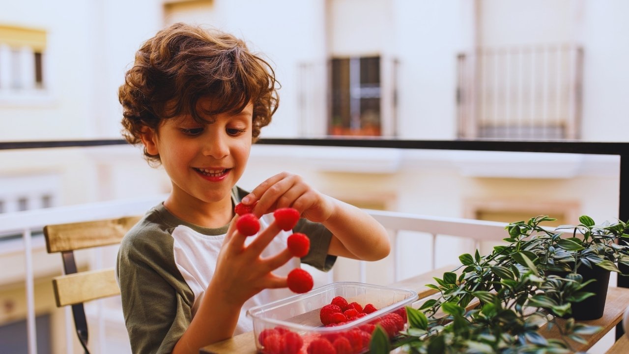 Sustainable Nutrition: How to Build Healthy Eating Habits for Life