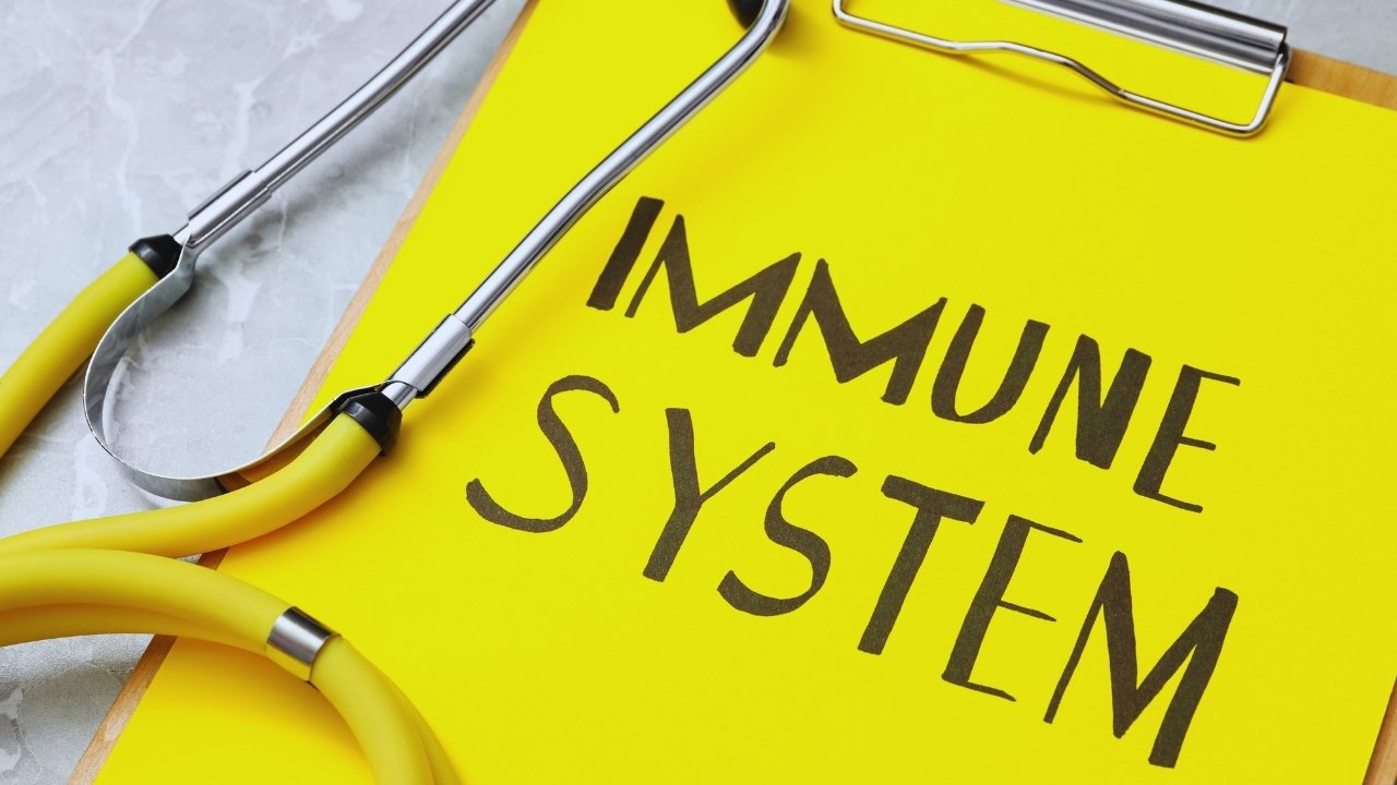 Natural Ways to Strengthen Your Immune System Every Day