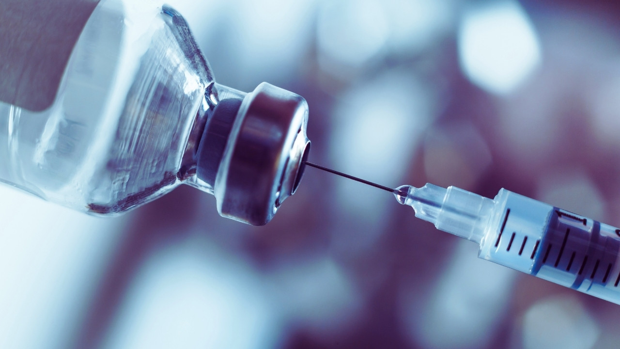 Vaccines and Immunity: How Protection Works and Saves Lives