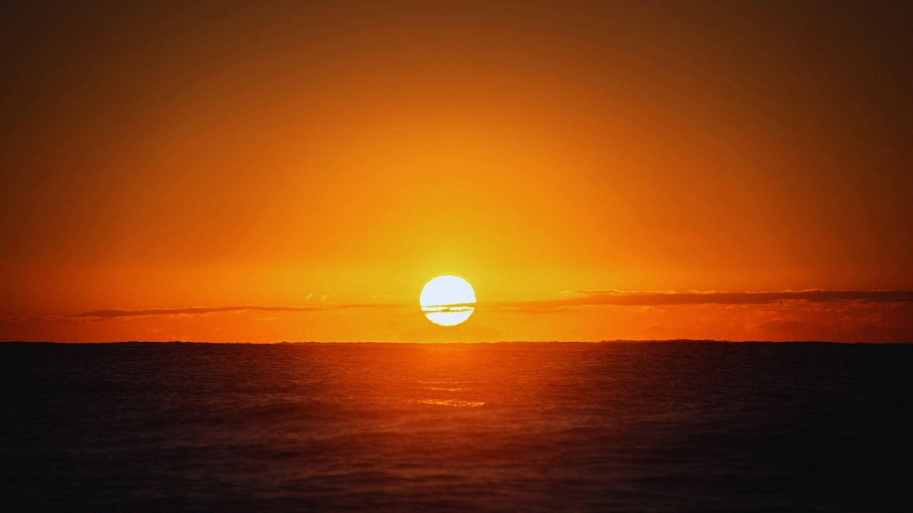 Rising Ocean Temperatures Threaten Marine Biodiversity and Coastal Communities