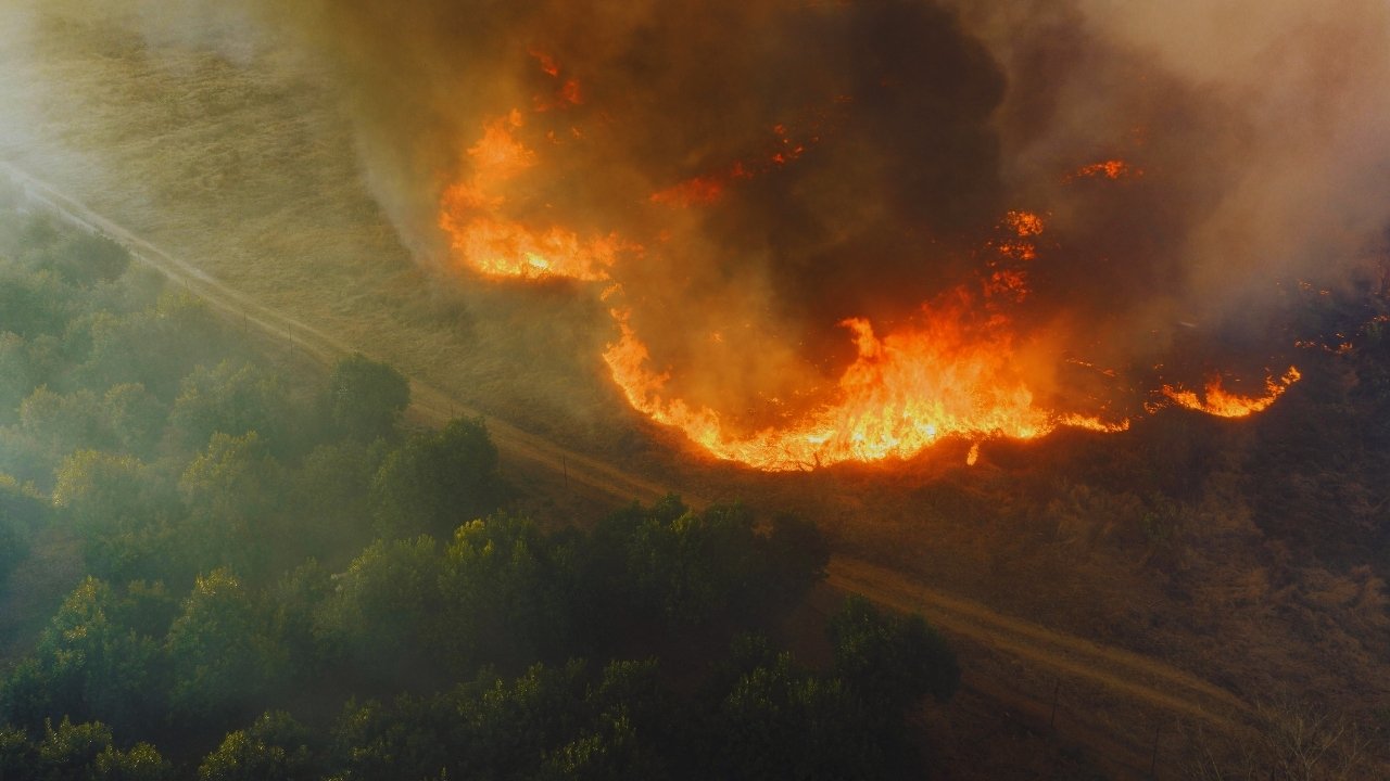 California Wildfires 2025: Evacuations, Damage, and Lessons for Future Preparedness