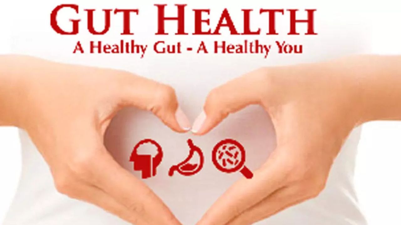 Transforming Wellness: The Focus on Gut Health in India