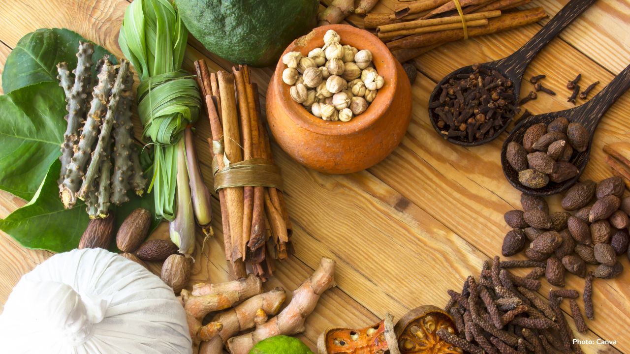 Ayurveda Expands Its Reach: Ancient Indian Healing Influences Global Wellness