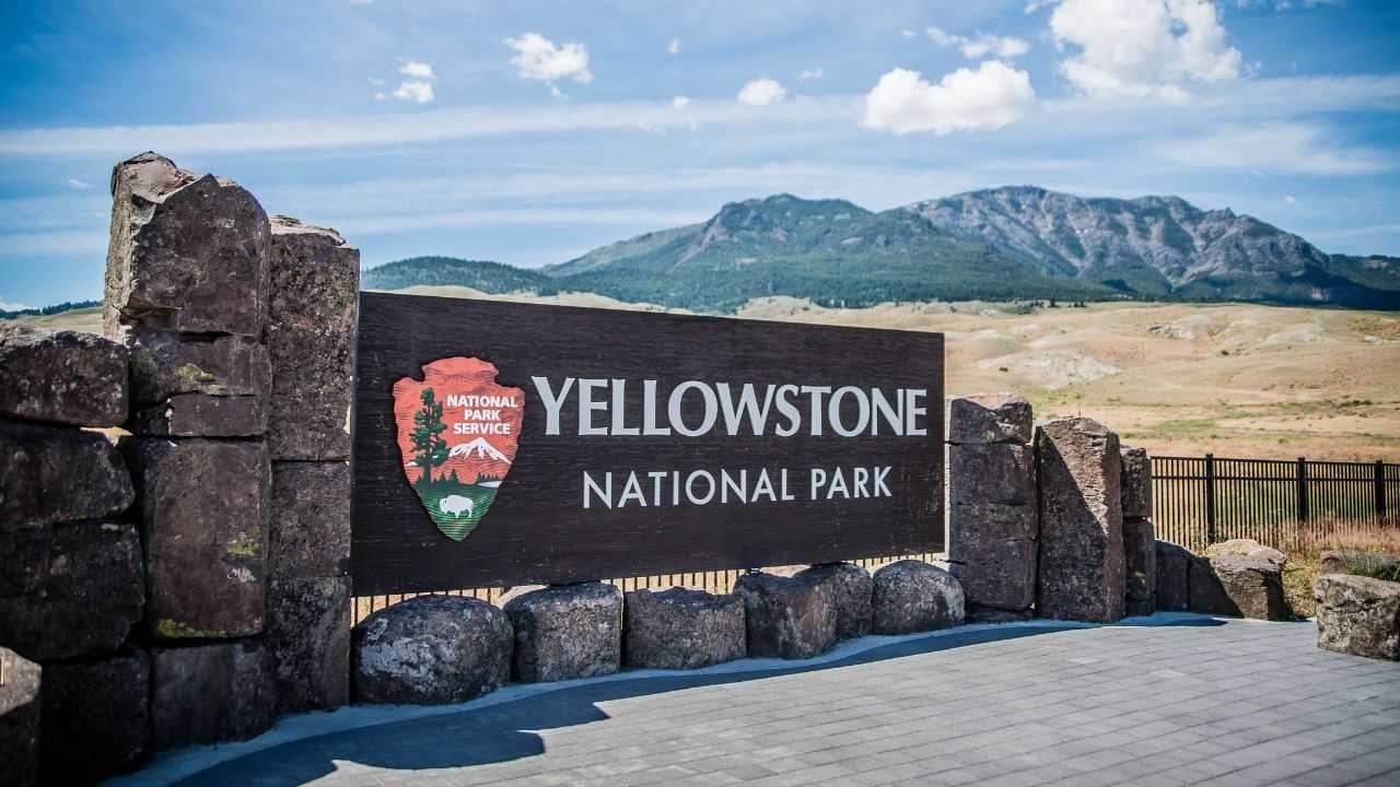 Discover Yellowstone National Park: Key Facts, Attractions, and Travel Insights