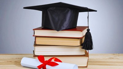 Rethinking Higher Education: Skills Over Traditional Degrees