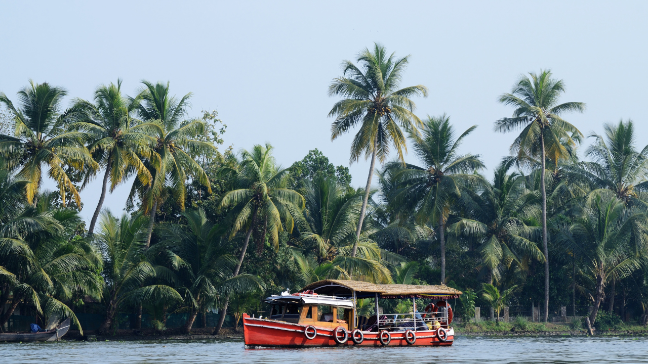 Discover the Allure of Kerala: A Journey Through Sun, Spices, and Backwaters