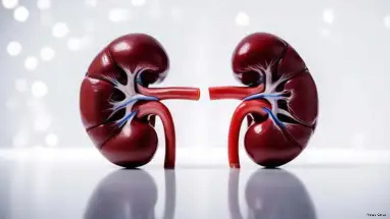 Young Hyderabad Residents Grapple with Sudden Kidney Failures, Doctors Warn