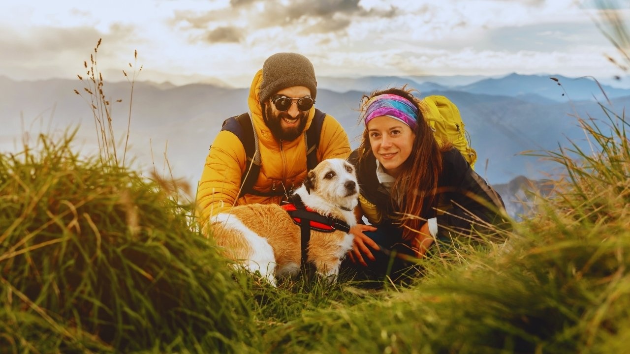 Pet-Friendly Travel: Exploring the World with Your Furry Friends