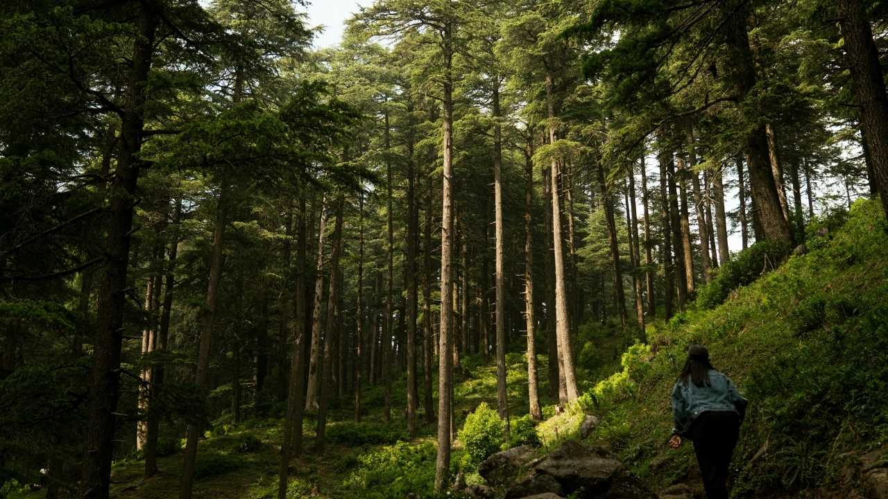 Wellness Resorts vs Adventure Travel: Which One’s Trending?