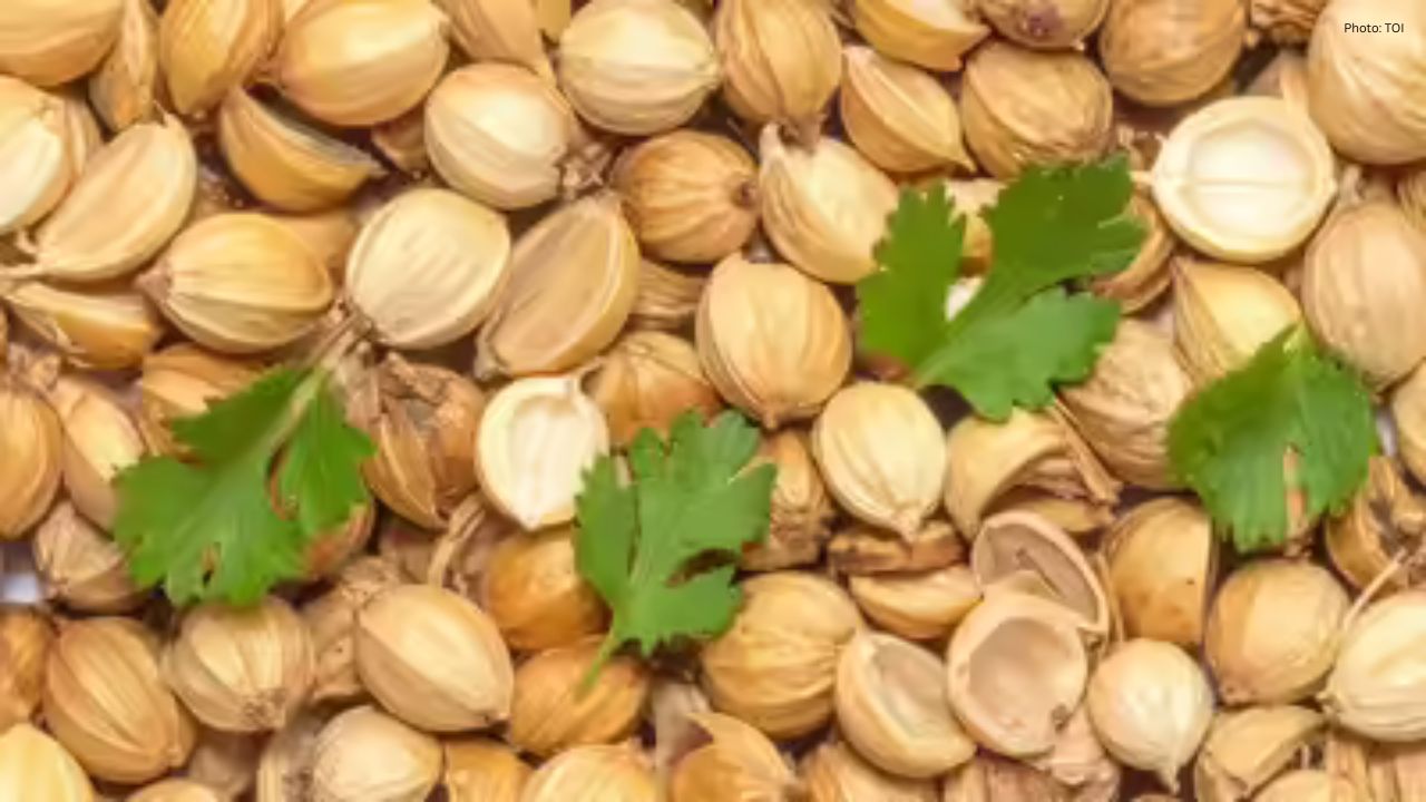 Relief from Bloating: The Benefits of Drinking Coriander Seed Water Daily