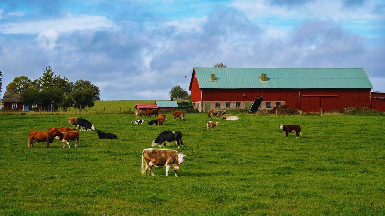 Discover Agritourism in India: Trade Resorts for Authentic Farm Experiences