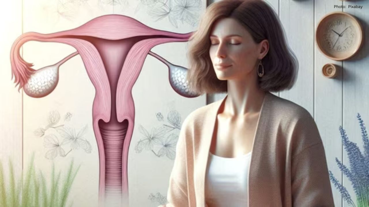 Neurosurgeon's Insights on Menopause's Impact on Brain Health