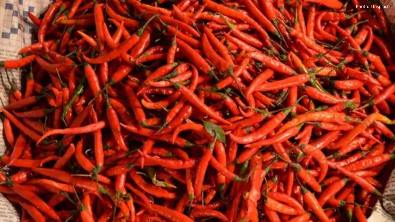 The Allure of Spicy Food: Exploring Our Fascination with Chillies