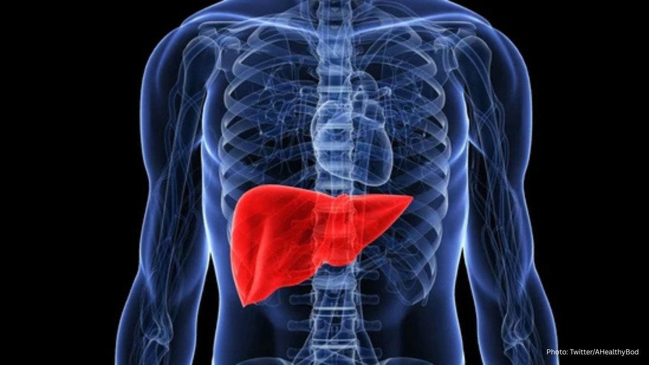 Expert Highlights 3 Common Daily Habits That Could Harm Your Liver