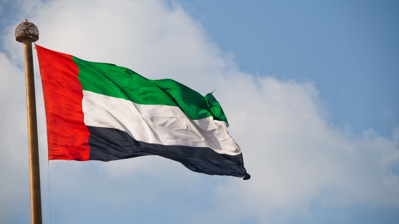UAE Pursues Re-election to IMO Council, Elevating Maritime Influence