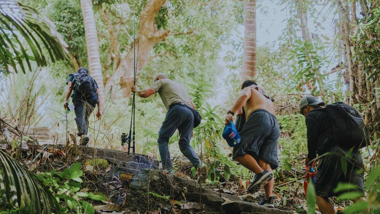 Adapting Hiking Plans: Key Insights from Recent Urban Wildlife Advisories