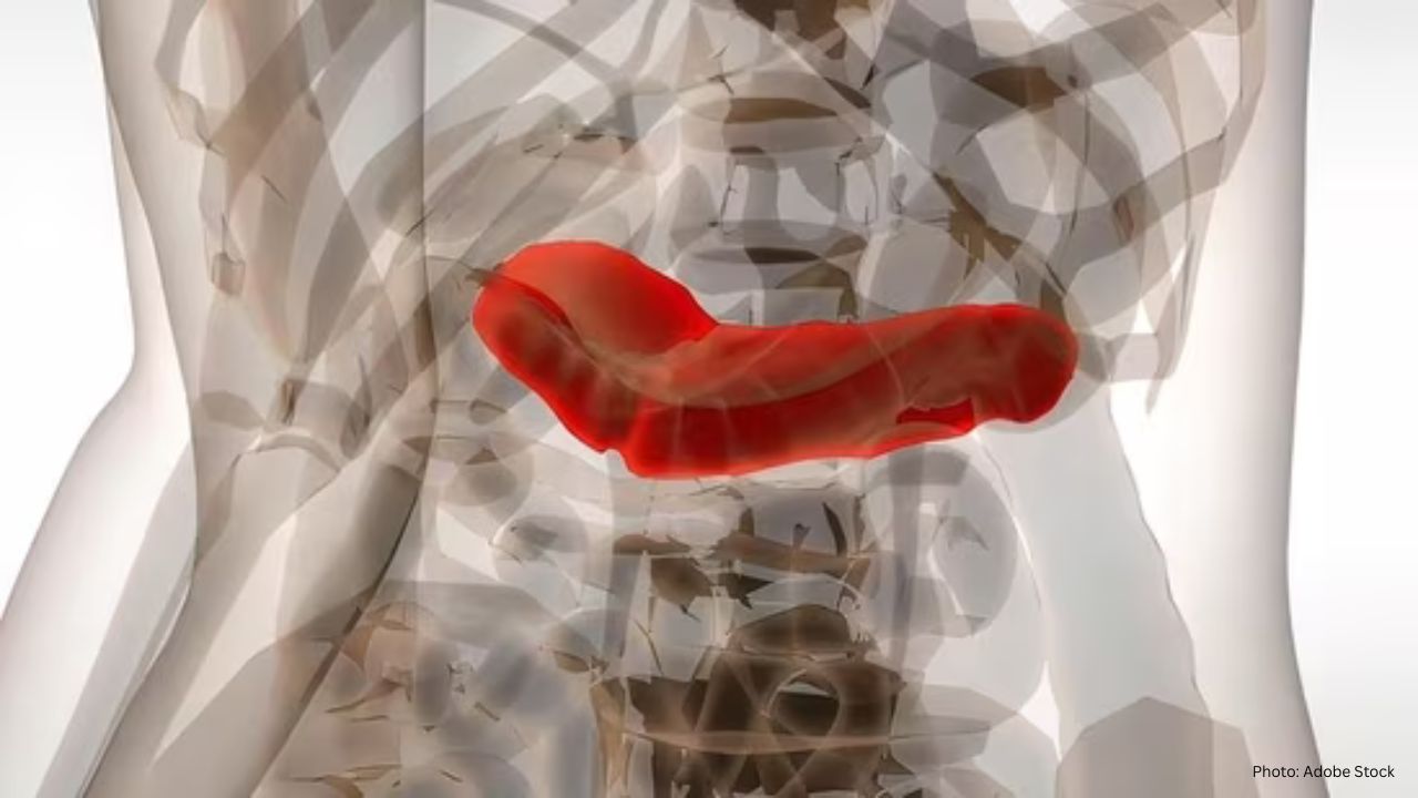 Recognizing the 5 Key Warning Signs of Pancreatic Issues: Insights from an Oncologist